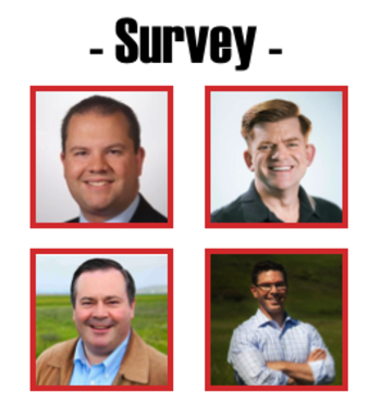 UCP Leadership Survey